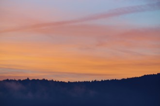 Silhouette of a forest at sunrise with orange-pink sky, Miltenberg, district Miltenberg, Spessart,