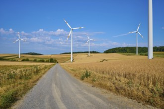 Wind turbines along a country lane in the middle of a quiet landscape, summer, Wenkheim, Werbach,