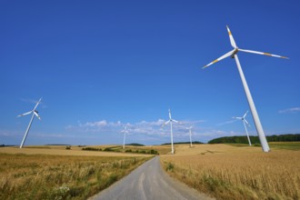 Wind turbines along a road through a vast cornfield under a blue sky, summer, Wenkheim, Werbach,