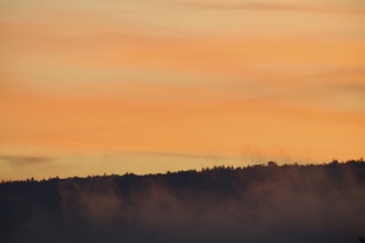 Foggy forest silhouette under an orange sunrise sky, Miltenberg, Miltenberg district, Spessart,