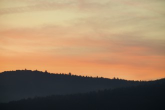 Forest silhouette under a pink sunrise sky with soft shadows, Miltenberg, Miltenberg district,