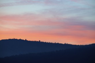 Blue-pink sky over hills at sunrise, silhouette of trees, Miltenberg, district Miltenberg,