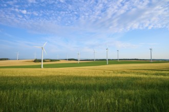 Wind turbines in a wide, green landscape with blue sky, summer, Höhefeld, Wertheim,