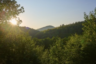 Forest with a view of a hill at sunset, surrounded by dense foliage, summer, Ernsttal, Mudau,