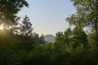 Hilly forest landscape at sunrise, framed by various trees, summer, Ernsttal, Mudau, Odenwald,