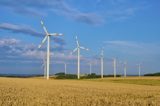 A wind farm on wide fields with several wind turbines under a blue sky, summer, Höhefeld, Wertheim,