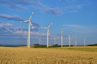 Wind turbines stand on a wide grain field under a light blue sky, summer, Höhefeld, Wertheim,
