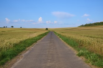 Long road through rolling fields under a blue sky with clouds in the background, summer, Höhefeld,