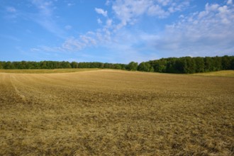 Empty, ploughed field with trees on the horizon under a partly cloudy sky, summer, Höhefeld,
