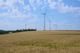Several wind turbines stand on extensive grain fields under a clear blue sky, the vastness