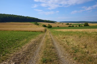 Straight country lane through wide fields under a vast blue sky, summer, Neubrunn, Würzburg