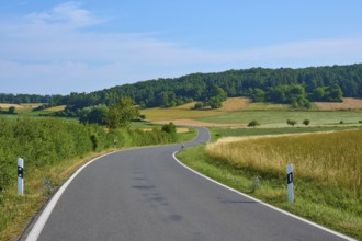 Curved country road through wide fields, surrounded by green forest and blue sky, summer, Neubrunn,