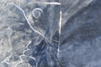 The mask... Ice sculptures (winter flood Lower Rhine 2020, 2021), art in nature, ice plate formed