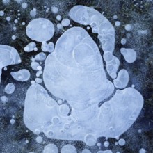 Air bubbles... Ice (winter flood 2020, 2021), ice layer with frozen air bubbles on a meadow on the