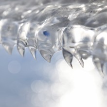 Shark teeth... Ice formations (winter flood 2020, 2021) formed from wind and water on an ice sheet