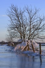 Landfall, ice age on Bislicher Insel... Winter mood (Lower Rhine), after the flood came severe