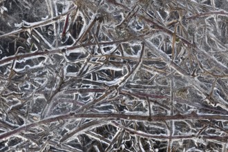 Structures in the ice... Ice formations (winter flood 2020, 2021), alluvial material frozen in the