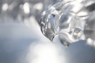 Needle point... Ice tooth (winter flood and cold snap 2020, 2021), ice formed by wind, weather and