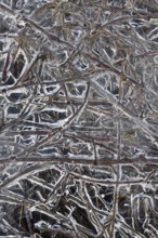 Structures in the ice... Ice formations (winter flood 2020, 2021), alluvial material frozen in the