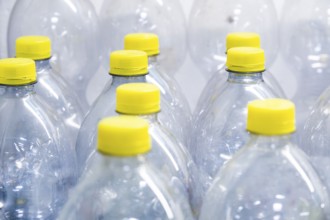 A collection of transparent plastic bottles with yellow screw caps