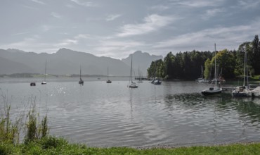 Forggensee near Füssen, Tannheimer Berge, Ostallgäu, Bavaria, Germany