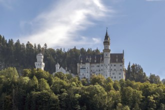 Neuschwanstein Castle, Schwangau, Ostallgäu, Allgäu, Swabia, Upper Bavaria, Bavaria, Germany
