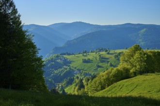 A sunny valley with Feldberg and lush green and clear sky, spring, Schauinsland, Freiburg im