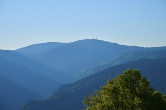 Feldberg in the background with trees in the foreground in the morning light, spring, Feldberg,