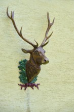 A stag's head with antlers on a yellow wall, decorative and rustic, Triberg im Schwarzwald,