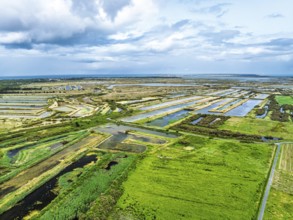 The Lilleau des Niges National Nature Reserve from a drone, The salt marshes,