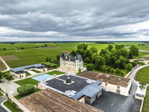 Chateau Pichon Longueville Baron Vineyard and grape fields around Pauillac from a drone, Bordeaux,