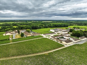 Vineyard of Chateau Branaire-Ducru and Vineyard of Chateau Beychevelle from a drone,