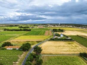 Fields and Grape plantations from a drone, Saint-Clement-des-Baleines, Atlantic, France