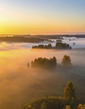 Mystical foggy landscape in autumn, colorful trees in fog, misty mood nature atmosphere, AI