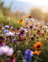 Bee-friendly garden design, colorful variety of blooming flowers in the summer, AI generated