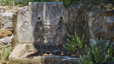 An old stone wall with decorations, surrounded by plants in the shade, Stone fountain, Abandoned