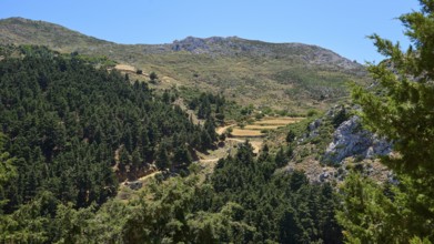A wide view over wooded mountain slopes and valleys under a blue sky, Abandoned Village, Lost