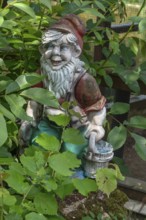 Garden gnome in a garden, Bavaria, Germany