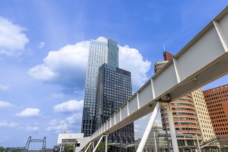 Holland, Rotterdam. Downtown financial business district panorama and city skyline
