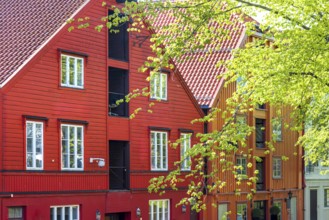 Norway, scenic Trondheim town. Bakklandet, a famous tourist travel destination with colorful houses