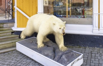 Norway, Tromso, famous tourist travel destination known for northern lights aurora borealis viewing