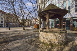 Historical fountain, Bare winter trees, General architecture, Blue sky, Cumulus clouds, Domplatz,