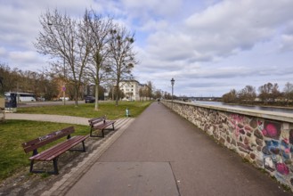 River Elbe, riverside promenade, lantern, benches, sandstone wall, bare wintry trees, general