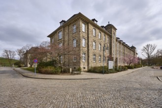 Tax office, sandstone building, bare wintry trees, diffuse light, slightly sunny, cloudy, street