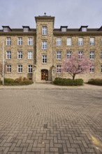 Tax office, sandstone building, Japanese flowering cherry (Prunus serrulata), flowering tree,