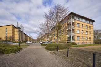 Residential area, apartment blocks, residential building, lantern, bollard, bare winter trees,