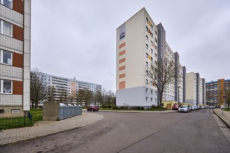 MWG-Wohnungsgenossenschaft eG Magdeburg, high-rise buildings, residential buildings, asphalt road,