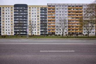 Residential building, high-rise buildings, facade, window, balcony, bare wintry trees, lantern,