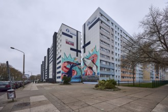 Wohnungsbaugenossenschaft Otto von Guericke eG, high-rise building, residential building, diffuse