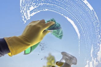 Glass cleaning: Close-up of a window pane being cleaned